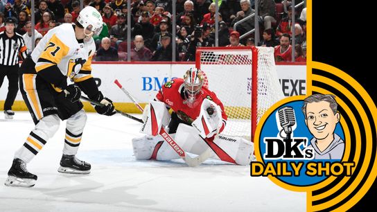 DK's Daily Shot of Penguins: Over and out, but not for long taken on the North Shore (Podcasts)
